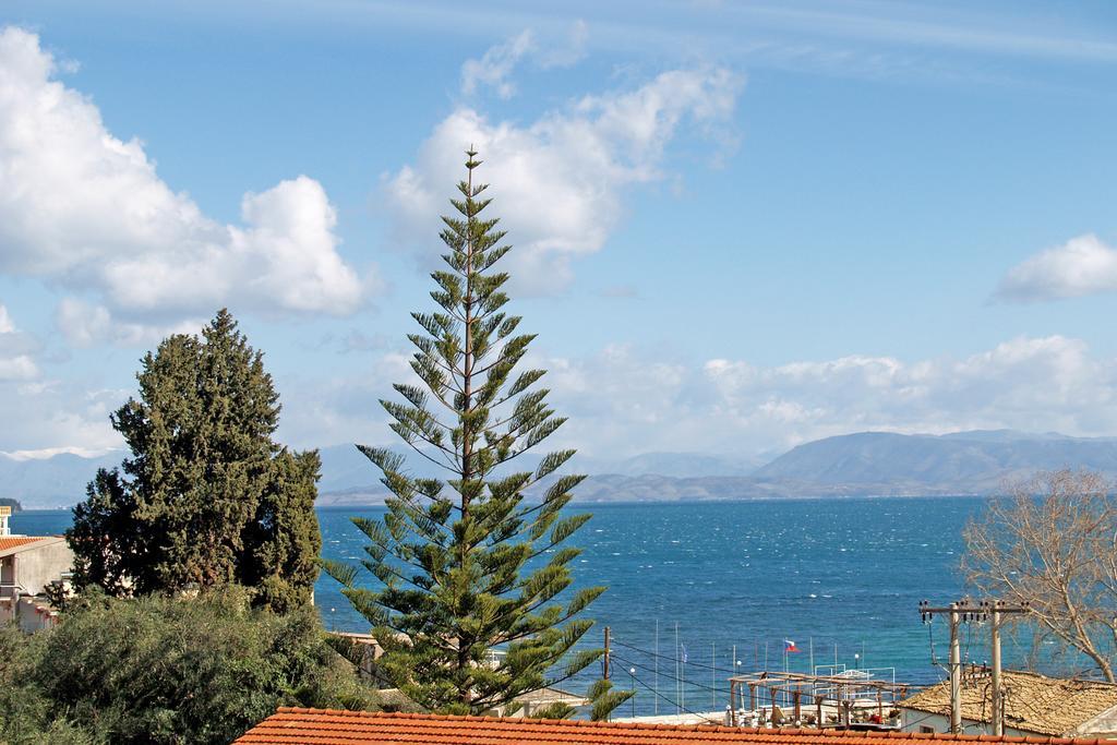 Elli Marina Studios And Apartments Benitses (Corfu) Exterior foto